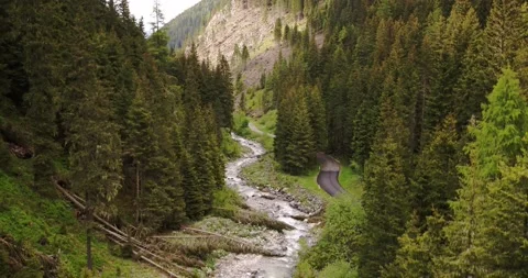 River between forest in the Alps, Aerial view of stream of water. Nature 4K Video stock 146583721