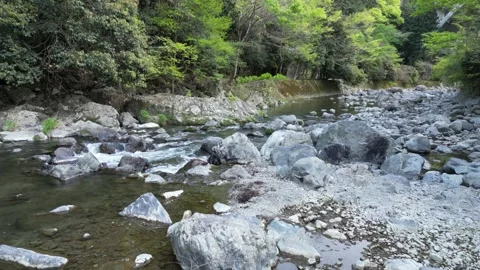 River in between forest Stock Footage 261273968