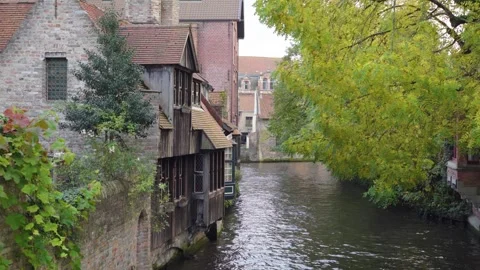 River between houses and trees with wooden front on fall day Video stock 329053326
