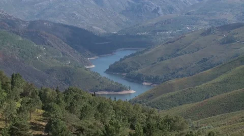 River between mountain pine tree forest in Serra da Peneda gerês Portugal Stock Footage 67857822
