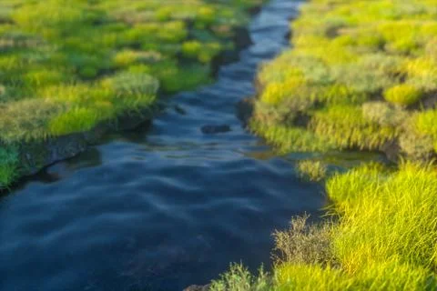 The river between the mountains in a sunny day, 3d rendering Stock-Illustration