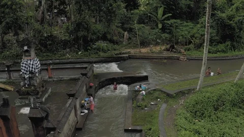 River between palm trees on Bali Island 4K drone flight Stock Footage 119315425
