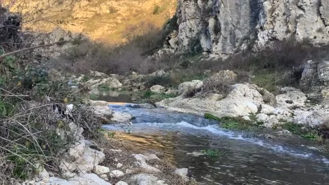 River between rocks Stock Footage 170839258