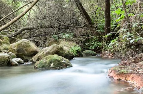 River between stones Stock Photos