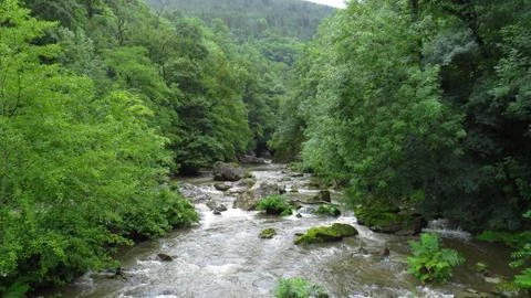 River between trees and big stones in the forest - July, 2019 Stock Photos