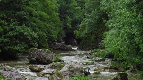 River between trees and big stones in the forest - July, 2019 Stock Photos