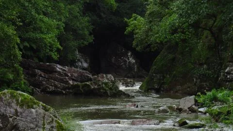 River between trees and big stones in the forest - July, 2019 Stock Photos