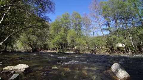 A river between trees Video stock 73648448