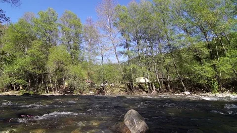 A river between trees Stock Footage 73648463