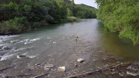River between trees Stock Footage 76659570