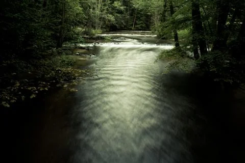 River between trees Stock Photos