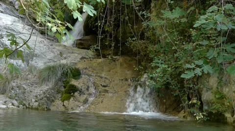 River between vegetation Stock Footage 35554057