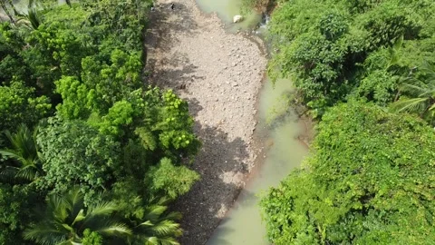 A River between Winding Rice Fields in Banten Indonesia Stock Footage 244644019