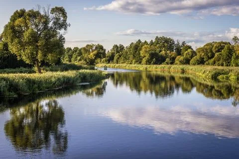 River Biebrza in Poland Fotos Stock