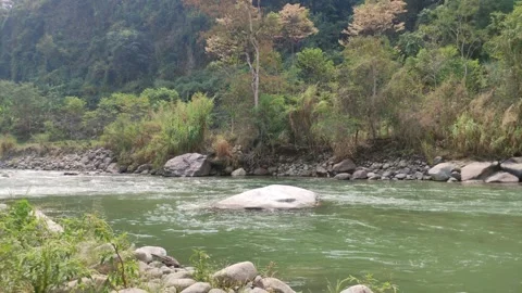 River with a big rock in Peru Vidéo 282558450