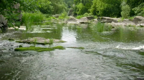 River with big stones Video stock 499541