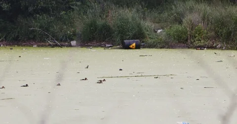 River with biohazard garbage Video stock 124171984