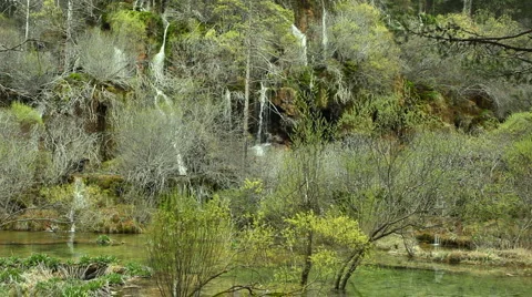 River birth 库存影片 4884485