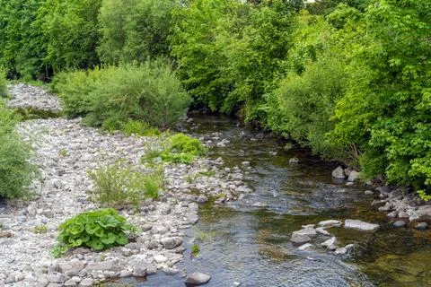 River in the Black Forest Stock Photos