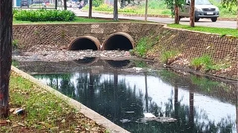 A river with black water Stock Photos