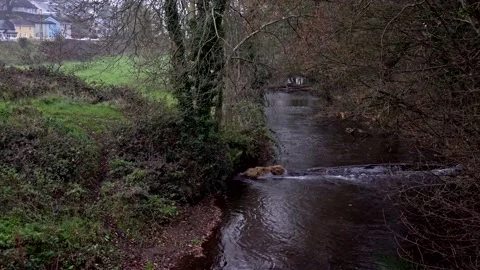 River in Blarney Stock Footage 156252031