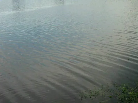 River, blue waves vibration, wind environmental concept Video stock 808960