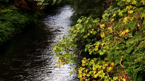 A river blur background video Stock Footage 253436766