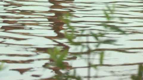 River Boat Stock Footage 123928759