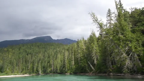 River boating plate, on Clearwater River, Wells Gray Park, B.C., 4k Stock Footage 247093267