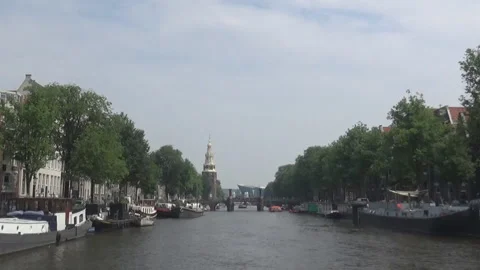 River, boats and trees Stock Footage 95298992