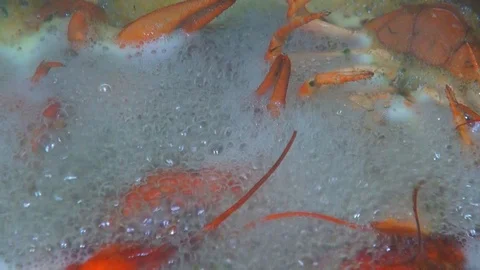 River boiled crayfish a good snack to beer. Waiter puts on the table a plate of Stock Footage 120001374