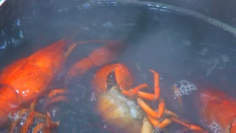 River boiled crayfish a good snack to beer. Waiter puts on the table a plate of Stock Footage 120001783