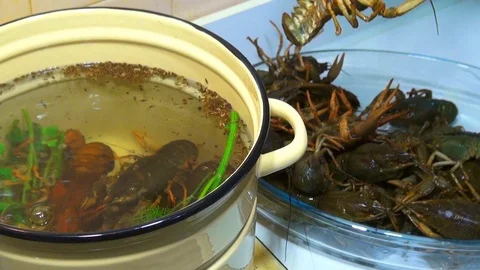 River boiled crayfish a good snack to beer. Waiter puts on the table a plate of Stock Footage 120002441