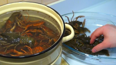 River boiled crayfish a good snack to beer. Waiter puts on the table a plate of Stock Footage 120002622