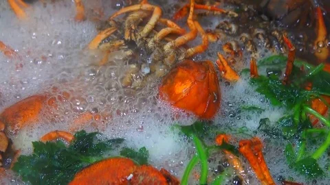 River boiled crayfish a good snack to beer. Waiter puts on the table a plate of Stock Footage 120002827
