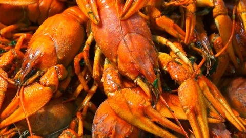 River boiled crayfish a good snack to beer. Waiter puts on the table a plate of Stock Footage 120003071