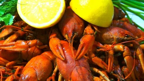 River boiled crayfish a good snack to beer. Waiter puts on the table a plate of Stock Footage 120003144