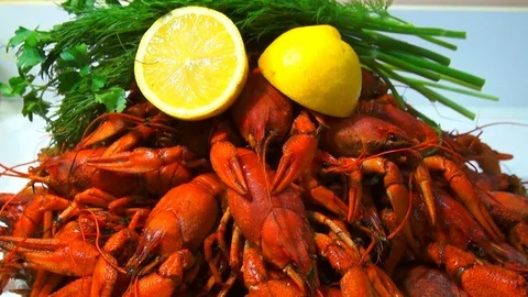 River boiled crayfish a good snack to beer. Waiter puts on the table a plate of Stock Footage 120003174