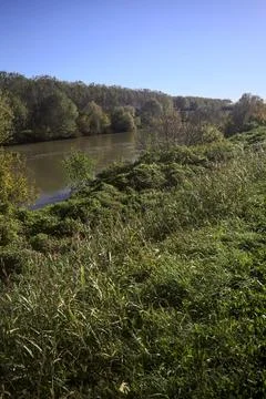 River bordered by trees Stock Photos
