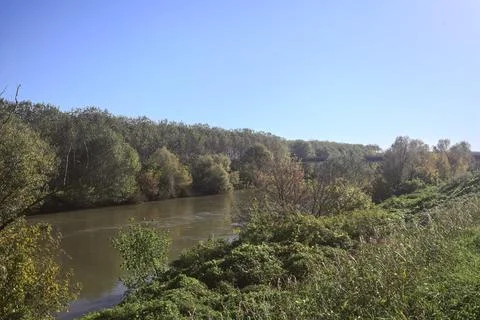 River bordered by trees Stock Photos