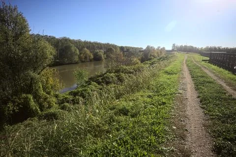 River bordered by trees Stock Photos
