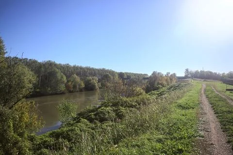 River bordered by trees Stock Photos