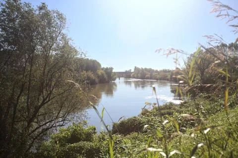 River bordered by trees Stock Photos