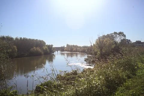 River bordered by trees Stock Photos