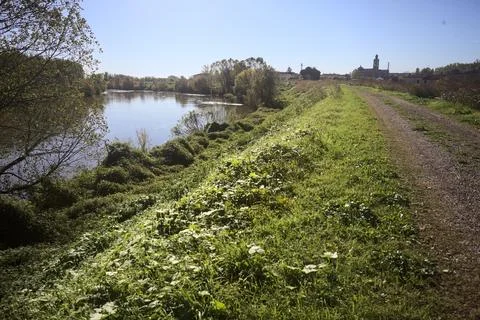 River bordered by trees Stock Photos