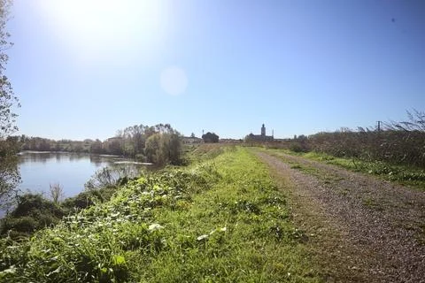 River bordered by trees Stock Photos