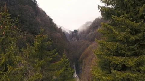 River Borne in the Valley gorge and forests of the French Alps Stock Footage 86117048