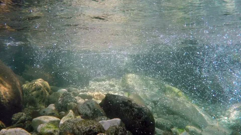 River Bottom 1 Stock Footage 105870098