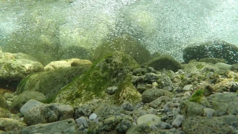 River Bottom 2 Stock Footage 105870156