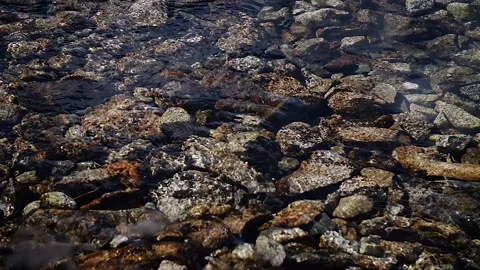 River bottom 47 Stock Footage 167071817